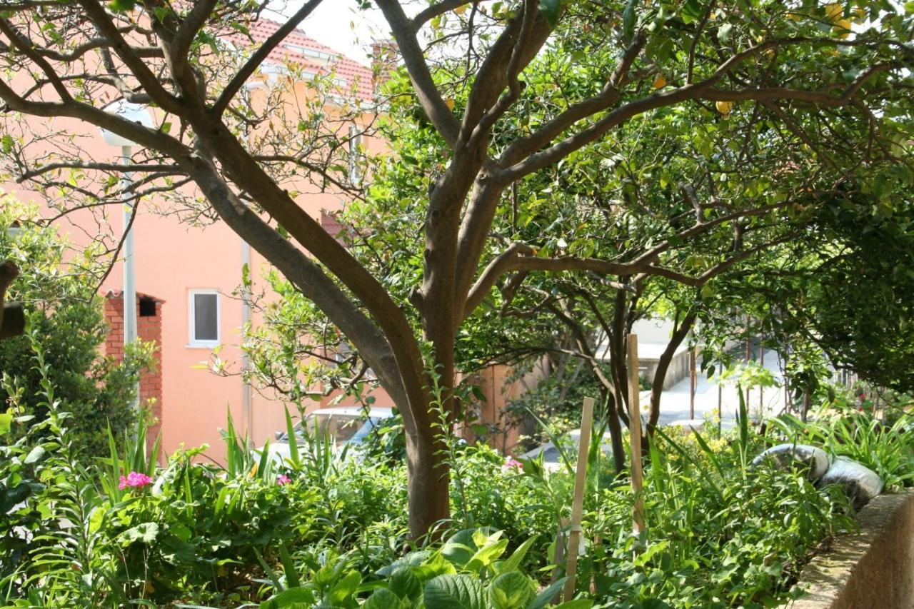 Apartment Podgora 518A Ngoại thất bức ảnh